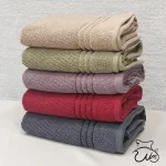 حوله استخری مدل سوان