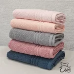 حوله استخری مدل سوان