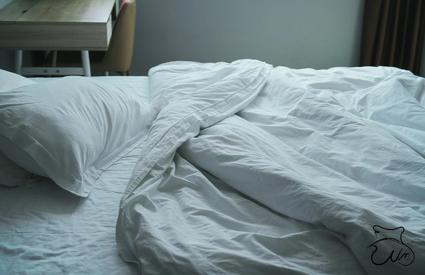 پنج روتختی محبوب 1404