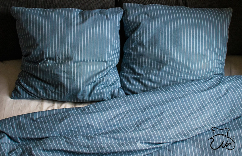 جدیدترین ترندهای روتختی دو نفره