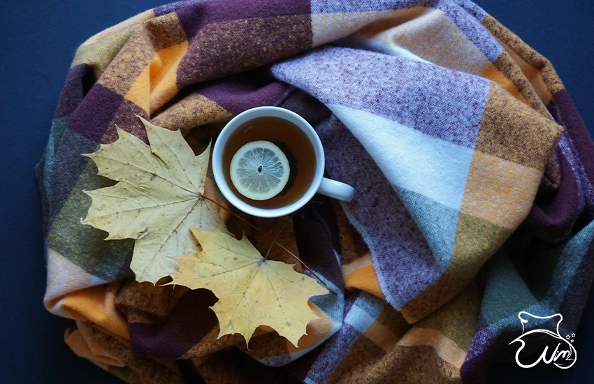 راهنمای خرید پتوی گرم