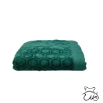 حولهاستخری مخمل کندو