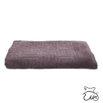 حوله استخری پازل