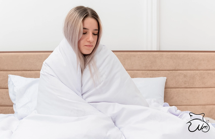 بهترین شوینده برای لحاف پشم شیشه